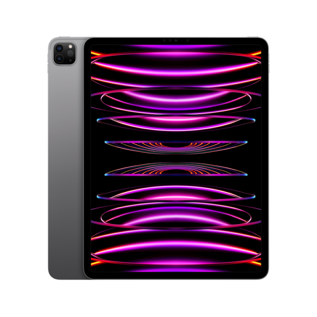 iPad Pro (6th Generation) - 12.9" (Wi-Fi Only)